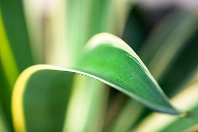 《龙珠：电光火石0》明日举行发布会 将公布实机画面